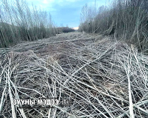 Туул гол уу, Туулын хурдны зам уу?